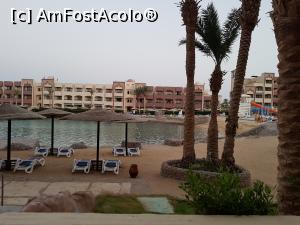 [P06]  -- <small>// FĂRĂ DESCRIERE</small> » foto by ADINA63
 - 
<span class="allrVoted glyphicon glyphicon-heart hidden" id="av1007804"></span>
<a class="m-l-10 hidden" id="sv1007804" onclick="voting_Foto_DelVot(,1007804,36)" role="button">șterge vot <span class="glyphicon glyphicon-remove"></span></a>
<a id="v91007804" class=" c-red"  onclick="voting_Foto_SetVot(1007804)" role="button"><span class="glyphicon glyphicon-heart-empty"></span> <b>LIKE</b> = Votează poza</a> <img class="hidden"  id="f1007804W9" src="/imagini/loader.gif" border="0" /><span class="AjErrMes hidden" id="e1007804ErM"></span>