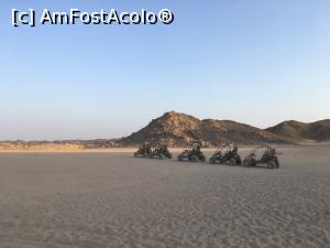 [P04]  -- <small>// FĂRĂ DESCRIERE</small> » foto by vbuti
 - 
<span class="allrVoted glyphicon glyphicon-heart hidden" id="av1016025"></span>
<a class="m-l-10 hidden" id="sv1016025" onclick="voting_Foto_DelVot(,1016025,36)" role="button">șterge vot <span class="glyphicon glyphicon-remove"></span></a>
<a id="v91016025" class=" c-red"  onclick="voting_Foto_SetVot(1016025)" role="button"><span class="glyphicon glyphicon-heart-empty"></span> <b>LIKE</b> = Votează poza</a> <img class="hidden"  id="f1016025W9" src="/imagini/loader.gif" border="0" /><span class="AjErrMes hidden" id="e1016025ErM"></span>