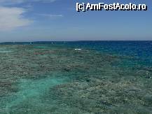 [P18] coralii de langa hotel » foto by ramop
 - 
<span class="allrVoted glyphicon glyphicon-heart hidden" id="av70046"></span>
<a class="m-l-10 hidden" id="sv70046" onclick="voting_Foto_DelVot(,70046,36)" role="button">șterge vot <span class="glyphicon glyphicon-remove"></span></a>
<a id="v970046" class=" c-red"  onclick="voting_Foto_SetVot(70046)" role="button"><span class="glyphicon glyphicon-heart-empty"></span> <b>LIKE</b> = Votează poza</a> <img class="hidden"  id="f70046W9" src="/imagini/loader.gif" border="0" /><span class="AjErrMes hidden" id="e70046ErM"></span>