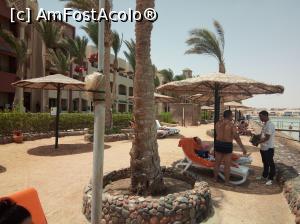 [P07] tot la locul de plaja » foto by gcristian
 - 
<span class="allrVoted glyphicon glyphicon-heart hidden" id="av886219"></span>
<a class="m-l-10 hidden" id="sv886219" onclick="voting_Foto_DelVot(,886219,36)" role="button">șterge vot <span class="glyphicon glyphicon-remove"></span></a>
<a id="v9886219" class=" c-red"  onclick="voting_Foto_SetVot(886219)" role="button"><span class="glyphicon glyphicon-heart-empty"></span> <b>LIKE</b> = Votează poza</a> <img class="hidden"  id="f886219W9" src="/imagini/loader.gif" border="0" /><span class="AjErrMes hidden" id="e886219ErM"></span>