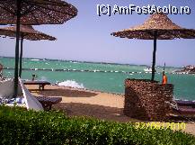 [P11] mare agitata dar calda » foto by delia58
 - 
<span class="allrVoted glyphicon glyphicon-heart hidden" id="av89528"></span>
<a class="m-l-10 hidden" id="sv89528" onclick="voting_Foto_DelVot(,89528,36)" role="button">șterge vot <span class="glyphicon glyphicon-remove"></span></a>
<a id="v989528" class=" c-red"  onclick="voting_Foto_SetVot(89528)" role="button"><span class="glyphicon glyphicon-heart-empty"></span> <b>LIKE</b> = Votează poza</a> <img class="hidden"  id="f89528W9" src="/imagini/loader.gif" border="0" /><span class="AjErrMes hidden" id="e89528ErM"></span>