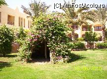 [P02] gradina » foto by delia58
 - 
<span class="allrVoted glyphicon glyphicon-heart hidden" id="av89518"></span>
<a class="m-l-10 hidden" id="sv89518" onclick="voting_Foto_DelVot(,89518,36)" role="button">șterge vot <span class="glyphicon glyphicon-remove"></span></a>
<a id="v989518" class=" c-red"  onclick="voting_Foto_SetVot(89518)" role="button"><span class="glyphicon glyphicon-heart-empty"></span> <b>LIKE</b> = Votează poza</a> <img class="hidden"  id="f89518W9" src="/imagini/loader.gif" border="0" /><span class="AjErrMes hidden" id="e89518ErM"></span>