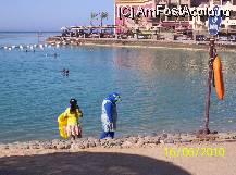 [P07] plaja si marea cu costum de baie arab » foto by delia58
 - 
<span class="allrVoted glyphicon glyphicon-heart hidden" id="av89524"></span>
<a class="m-l-10 hidden" id="sv89524" onclick="voting_Foto_DelVot(,89524,36)" role="button">șterge vot <span class="glyphicon glyphicon-remove"></span></a>
<a id="v989524" class=" c-red"  onclick="voting_Foto_SetVot(89524)" role="button"><span class="glyphicon glyphicon-heart-empty"></span> <b>LIKE</b> = Votează poza</a> <img class="hidden"  id="f89524W9" src="/imagini/loader.gif" border="0" /><span class="AjErrMes hidden" id="e89524ErM"></span>