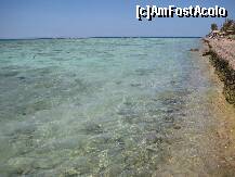 [P18] Altă poză cu apa extrem de limpede şi frumoasă. Nu m-am putut abţine! » foto by Maditu16
 - 
<span class="allrVoted glyphicon glyphicon-heart hidden" id="av212509"></span>
<a class="m-l-10 hidden" id="sv212509" onclick="voting_Foto_DelVot(,212509,36)" role="button">șterge vot <span class="glyphicon glyphicon-remove"></span></a>
<a id="v9212509" class=" c-red"  onclick="voting_Foto_SetVot(212509)" role="button"><span class="glyphicon glyphicon-heart-empty"></span> <b>LIKE</b> = Votează poza</a> <img class="hidden"  id="f212509W9" src="/imagini/loader.gif" border="0" /><span class="AjErrMes hidden" id="e212509ErM"></span>