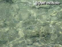 [P19] Prim plan cu un peştişor pozat tot lîngă hotel. » foto by Maditu16
 - 
<span class="allrVoted glyphicon glyphicon-heart hidden" id="av212510"></span>
<a class="m-l-10 hidden" id="sv212510" onclick="voting_Foto_DelVot(,212510,36)" role="button">șterge vot <span class="glyphicon glyphicon-remove"></span></a>
<a id="v9212510" class=" c-red"  onclick="voting_Foto_SetVot(212510)" role="button"><span class="glyphicon glyphicon-heart-empty"></span> <b>LIKE</b> = Votează poza</a> <img class="hidden"  id="f212510W9" src="/imagini/loader.gif" border="0" /><span class="AjErrMes hidden" id="e212510ErM"></span>