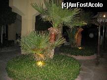 [P28] Grădina hotelului noaptea. Fiecare palmier era luminat. » foto by Maditu16
 - 
<span class="allrVoted glyphicon glyphicon-heart hidden" id="av212519"></span>
<a class="m-l-10 hidden" id="sv212519" onclick="voting_Foto_DelVot(,212519,36)" role="button">șterge vot <span class="glyphicon glyphicon-remove"></span></a>
<a id="v9212519" class=" c-red"  onclick="voting_Foto_SetVot(212519)" role="button"><span class="glyphicon glyphicon-heart-empty"></span> <b>LIKE</b> = Votează poza</a> <img class="hidden"  id="f212519W9" src="/imagini/loader.gif" border="0" /><span class="AjErrMes hidden" id="e212519ErM"></span>