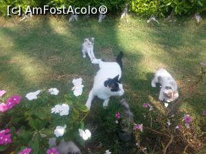 [P10]  -- <small>// FĂRĂ DESCRIERE</small> » foto by Aliona R
 - 
<span class="allrVoted glyphicon glyphicon-heart hidden" id="av1026648"></span>
<a class="m-l-10 hidden" id="sv1026648" onclick="voting_Foto_DelVot(,1026648,36)" role="button">șterge vot <span class="glyphicon glyphicon-remove"></span></a>
<a id="v91026648" class=" c-red"  onclick="voting_Foto_SetVot(1026648)" role="button"><span class="glyphicon glyphicon-heart-empty"></span> <b>LIKE</b> = Votează poza</a> <img class="hidden"  id="f1026648W9" src="/imagini/loader.gif" border="0" /><span class="AjErrMes hidden" id="e1026648ErM"></span>