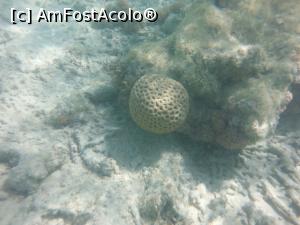 [P13]  -- <small>// FĂRĂ DESCRIERE</small> » foto by Aliona R
 - 
<span class="allrVoted glyphicon glyphicon-heart hidden" id="av1026651"></span>
<a class="m-l-10 hidden" id="sv1026651" onclick="voting_Foto_DelVot(,1026651,36)" role="button">șterge vot <span class="glyphicon glyphicon-remove"></span></a>
<a id="v91026651" class=" c-red"  onclick="voting_Foto_SetVot(1026651)" role="button"><span class="glyphicon glyphicon-heart-empty"></span> <b>LIKE</b> = Votează poza</a> <img class="hidden"  id="f1026651W9" src="/imagini/loader.gif" border="0" /><span class="AjErrMes hidden" id="e1026651ErM"></span>