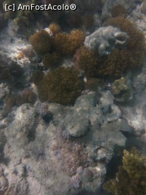 [P14]  -- <small>// FĂRĂ DESCRIERE</small> » foto by Aliona R
 - 
<span class="allrVoted glyphicon glyphicon-heart hidden" id="av1026652"></span>
<a class="m-l-10 hidden" id="sv1026652" onclick="voting_Foto_DelVot(,1026652,36)" role="button">șterge vot <span class="glyphicon glyphicon-remove"></span></a>
<a id="v91026652" class=" c-red"  onclick="voting_Foto_SetVot(1026652)" role="button"><span class="glyphicon glyphicon-heart-empty"></span> <b>LIKE</b> = Votează poza</a> <img class="hidden"  id="f1026652W9" src="/imagini/loader.gif" border="0" /><span class="AjErrMes hidden" id="e1026652ErM"></span>