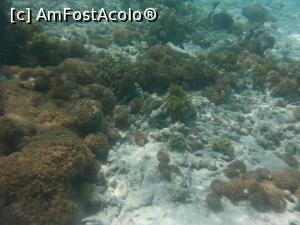 [P15]  -- <small>// FĂRĂ DESCRIERE</small> » foto by Aliona R
 - 
<span class="allrVoted glyphicon glyphicon-heart hidden" id="av1026653"></span>
<a class="m-l-10 hidden" id="sv1026653" onclick="voting_Foto_DelVot(,1026653,36)" role="button">șterge vot <span class="glyphicon glyphicon-remove"></span></a>
<a id="v91026653" class=" c-red"  onclick="voting_Foto_SetVot(1026653)" role="button"><span class="glyphicon glyphicon-heart-empty"></span> <b>LIKE</b> = Votează poza</a> <img class="hidden"  id="f1026653W9" src="/imagini/loader.gif" border="0" /><span class="AjErrMes hidden" id="e1026653ErM"></span>