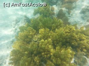 [P16]  -- <small>// FĂRĂ DESCRIERE</small> » foto by Aliona R
 - 
<span class="allrVoted glyphicon glyphicon-heart hidden" id="av1026654"></span>
<a class="m-l-10 hidden" id="sv1026654" onclick="voting_Foto_DelVot(,1026654,36)" role="button">șterge vot <span class="glyphicon glyphicon-remove"></span></a>
<a id="v91026654" class=" c-red"  onclick="voting_Foto_SetVot(1026654)" role="button"><span class="glyphicon glyphicon-heart-empty"></span> <b>LIKE</b> = Votează poza</a> <img class="hidden"  id="f1026654W9" src="/imagini/loader.gif" border="0" /><span class="AjErrMes hidden" id="e1026654ErM"></span>