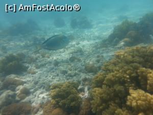 [P18]  -- <small>// FĂRĂ DESCRIERE</small> » foto by Aliona R
 - 
<span class="allrVoted glyphicon glyphicon-heart hidden" id="av1026656"></span>
<a class="m-l-10 hidden" id="sv1026656" onclick="voting_Foto_DelVot(,1026656,36)" role="button">șterge vot <span class="glyphicon glyphicon-remove"></span></a>
<a id="v91026656" class=" c-red"  onclick="voting_Foto_SetVot(1026656)" role="button"><span class="glyphicon glyphicon-heart-empty"></span> <b>LIKE</b> = Votează poza</a> <img class="hidden"  id="f1026656W9" src="/imagini/loader.gif" border="0" /><span class="AjErrMes hidden" id="e1026656ErM"></span>