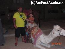 [P25] centru hurghada » foto by sorin stelistul
 - 
<span class="allrVoted glyphicon glyphicon-heart hidden" id="av191530"></span>
<a class="m-l-10 hidden" id="sv191530" onclick="voting_Foto_DelVot(,191530,362)" role="button">șterge vot <span class="glyphicon glyphicon-remove"></span></a>
<a id="v9191530" class=" c-red"  onclick="voting_Foto_SetVot(191530)" role="button"><span class="glyphicon glyphicon-heart-empty"></span> <b>LIKE</b> = Votează poza</a> <img class="hidden"  id="f191530W9" src="/imagini/loader.gif" border="0" /><span class="AjErrMes hidden" id="e191530ErM"></span>