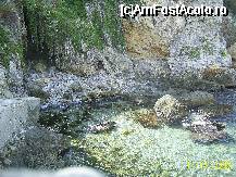 [P06] peisaje salbatice! ape cristaline » foto by petrus95
 - 
<span class="allrVoted glyphicon glyphicon-heart hidden" id="av41141"></span>
<a class="m-l-10 hidden" id="sv41141" onclick="voting_Foto_DelVot(,41141,366)" role="button">șterge vot <span class="glyphicon glyphicon-remove"></span></a>
<a id="v941141" class=" c-red"  onclick="voting_Foto_SetVot(41141)" role="button"><span class="glyphicon glyphicon-heart-empty"></span> <b>LIKE</b> = Votează poza</a> <img class="hidden"  id="f41141W9" src="/imagini/loader.gif" border="0" /><span class="AjErrMes hidden" id="e41141ErM"></span>