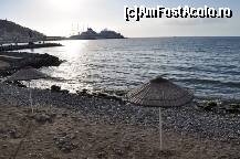 [P40] plaja in centrul statiunii...langa palma cu porumbei » foto by deeanaid
 - 
<span class="allrVoted glyphicon glyphicon-heart hidden" id="av145353"></span>
<a class="m-l-10 hidden" id="sv145353" onclick="voting_Foto_DelVot(,145353,366)" role="button">șterge vot <span class="glyphicon glyphicon-remove"></span></a>
<a id="v9145353" class=" c-red"  onclick="voting_Foto_SetVot(145353)" role="button"><span class="glyphicon glyphicon-heart-empty"></span> <b>LIKE</b> = Votează poza</a> <img class="hidden"  id="f145353W9" src="/imagini/loader.gif" border="0" /><span class="AjErrMes hidden" id="e145353ErM"></span>