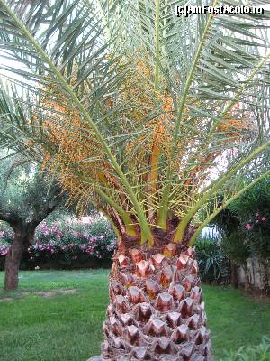 [P05] din curtea interioara Philoxenia » foto by mikulis
 - 
<span class="allrVoted glyphicon glyphicon-heart hidden" id="av607005"></span>
<a class="m-l-10 hidden" id="sv607005" onclick="voting_Foto_DelVot(,607005,369)" role="button">șterge vot <span class="glyphicon glyphicon-remove"></span></a>
<a id="v9607005" class=" c-red"  onclick="voting_Foto_SetVot(607005)" role="button"><span class="glyphicon glyphicon-heart-empty"></span> <b>LIKE</b> = Votează poza</a> <img class="hidden"  id="f607005W9" src="/imagini/loader.gif" border="0" /><span class="AjErrMes hidden" id="e607005ErM"></span>