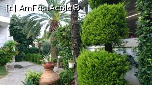 [P03] o grădină exotică printre bungalouri » foto by lauraned
 - 
<span class="allrVoted glyphicon glyphicon-heart hidden" id="av1078230"></span>
<a class="m-l-10 hidden" id="sv1078230" onclick="voting_Foto_DelVot(,1078230,369)" role="button">șterge vot <span class="glyphicon glyphicon-remove"></span></a>
<a id="v91078230" class=" c-red"  onclick="voting_Foto_SetVot(1078230)" role="button"><span class="glyphicon glyphicon-heart-empty"></span> <b>LIKE</b> = Votează poza</a> <img class="hidden"  id="f1078230W9" src="/imagini/loader.gif" border="0" /><span class="AjErrMes hidden" id="e1078230ErM"></span>