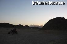 [P24] Safari in desert ,cu atv,buggy,camila,cina la beduini(un excelent gratar!)spectacol,si un off road de infarct cu o Toyota ,pana    la hotel.Plus frumusetea desertului. » foto by adinasilvia
 - 
<span class="allrVoted glyphicon glyphicon-heart hidden" id="av320611"></span>
<a class="m-l-10 hidden" id="sv320611" onclick="voting_Foto_DelVot(,320611,37)" role="button">șterge vot <span class="glyphicon glyphicon-remove"></span></a>
<a id="v9320611" class=" c-red"  onclick="voting_Foto_SetVot(320611)" role="button"><span class="glyphicon glyphicon-heart-empty"></span> <b>LIKE</b> = Votează poza</a> <img class="hidden"  id="f320611W9" src="/imagini/loader.gif" border="0" /><span class="AjErrMes hidden" id="e320611ErM"></span>