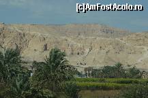 [P34] Templul lui RamsesII(parca..),fiind in renovare nu s-a putut vizita » foto by adinasilvia
 - 
<span class="allrVoted glyphicon glyphicon-heart hidden" id="av321052"></span>
<a class="m-l-10 hidden" id="sv321052" onclick="voting_Foto_DelVot(,321052,37)" role="button">șterge vot <span class="glyphicon glyphicon-remove"></span></a>
<a id="v9321052" class=" c-red"  onclick="voting_Foto_SetVot(321052)" role="button"><span class="glyphicon glyphicon-heart-empty"></span> <b>LIKE</b> = Votează poza</a> <img class="hidden"  id="f321052W9" src="/imagini/loader.gif" border="0" /><span class="AjErrMes hidden" id="e321052ErM"></span>