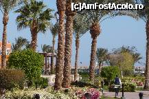 [P04] vedere gradina(parc) » foto by adinasilvia
 - 
<span class="allrVoted glyphicon glyphicon-heart hidden" id="av320580"></span>
<a class="m-l-10 hidden" id="sv320580" onclick="voting_Foto_DelVot(,320580,37)" role="button">șterge vot <span class="glyphicon glyphicon-remove"></span></a>
<a id="v9320580" class=" c-red"  onclick="voting_Foto_SetVot(320580)" role="button"><span class="glyphicon glyphicon-heart-empty"></span> <b>LIKE</b> = Votează poza</a> <img class="hidden"  id="f320580W9" src="/imagini/loader.gif" border="0" /><span class="AjErrMes hidden" id="e320580ErM"></span>