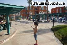 [P07] inghetata e grozava...si in ianuarie » foto by adinasilvia
 - 
<span class="allrVoted glyphicon glyphicon-heart hidden" id="av320583"></span>
<a class="m-l-10 hidden" id="sv320583" onclick="voting_Foto_DelVot(,320583,37)" role="button">șterge vot <span class="glyphicon glyphicon-remove"></span></a>
<a id="v9320583" class=" c-red"  onclick="voting_Foto_SetVot(320583)" role="button"><span class="glyphicon glyphicon-heart-empty"></span> <b>LIKE</b> = Votează poza</a> <img class="hidden"  id="f320583W9" src="/imagini/loader.gif" border="0" /><span class="AjErrMes hidden" id="e320583ErM"></span>