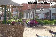 [P08] ..cer 25 de eur, dar daca stii sa negociezi te plimbi cu 5( dar sa nu fi rus!) » foto by adinasilvia
 - 
<span class="allrVoted glyphicon glyphicon-heart hidden" id="av320584"></span>
<a class="m-l-10 hidden" id="sv320584" onclick="voting_Foto_DelVot(,320584,37)" role="button">șterge vot <span class="glyphicon glyphicon-remove"></span></a>
<a id="v9320584" class=" c-red"  onclick="voting_Foto_SetVot(320584)" role="button"><span class="glyphicon glyphicon-heart-empty"></span> <b>LIKE</b> = Votează poza</a> <img class="hidden"  id="f320584W9" src="/imagini/loader.gif" border="0" /><span class="AjErrMes hidden" id="e320584ErM"></span>