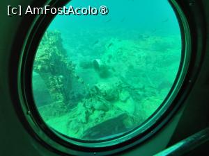[P17] Explorând adâncurile cu Sindbad - epava » foto by nicole33
 - 
<span class="allrVoted glyphicon glyphicon-heart hidden" id="av1412561"></span>
<a class="m-l-10 hidden" id="sv1412561" onclick="voting_Foto_DelVot(,1412561,371)" role="button">șterge vot <span class="glyphicon glyphicon-remove"></span></a>
<a id="v91412561" class=" c-red"  onclick="voting_Foto_SetVot(1412561)" role="button"><span class="glyphicon glyphicon-heart-empty"></span> <b>LIKE</b> = Votează poza</a> <img class="hidden"  id="f1412561W9" src="/imagini/loader.gif" border="0" /><span class="AjErrMes hidden" id="e1412561ErM"></span>
