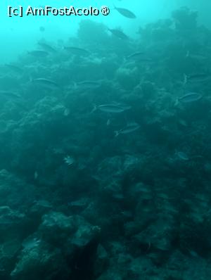 [P35] Observând din submarinul Sindbad » foto by AZE
 - 
<span class="allrVoted glyphicon glyphicon-heart hidden" id="av1417199"></span>
<a class="m-l-10 hidden" id="sv1417199" onclick="voting_Foto_DelVot(,1417199,371)" role="button">șterge vot <span class="glyphicon glyphicon-remove"></span></a>
<a id="v91417199" class=" c-red"  onclick="voting_Foto_SetVot(1417199)" role="button"><span class="glyphicon glyphicon-heart-empty"></span> <b>LIKE</b> = Votează poza</a> <img class="hidden"  id="f1417199W9" src="/imagini/loader.gif" border="0" /><span class="AjErrMes hidden" id="e1417199ErM"></span>