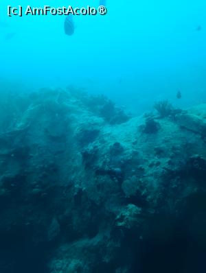 [P36] Observând din submarinul Sindbad » foto by AZE
 - 
<span class="allrVoted glyphicon glyphicon-heart hidden" id="av1417200"></span>
<a class="m-l-10 hidden" id="sv1417200" onclick="voting_Foto_DelVot(,1417200,371)" role="button">șterge vot <span class="glyphicon glyphicon-remove"></span></a>
<a id="v91417200" class=" c-red"  onclick="voting_Foto_SetVot(1417200)" role="button"><span class="glyphicon glyphicon-heart-empty"></span> <b>LIKE</b> = Votează poza</a> <img class="hidden"  id="f1417200W9" src="/imagini/loader.gif" border="0" /><span class="AjErrMes hidden" id="e1417200ErM"></span>