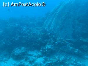 [P47] Observând din submarinul Sindbad » foto by AZE
 - 
<span class="allrVoted glyphicon glyphicon-heart hidden" id="av1417211"></span>
<a class="m-l-10 hidden" id="sv1417211" onclick="voting_Foto_DelVot(,1417211,371)" role="button">șterge vot <span class="glyphicon glyphicon-remove"></span></a>
<a id="v91417211" class=" c-red"  onclick="voting_Foto_SetVot(1417211)" role="button"><span class="glyphicon glyphicon-heart-empty"></span> <b>LIKE</b> = Votează poza</a> <img class="hidden"  id="f1417211W9" src="/imagini/loader.gif" border="0" /><span class="AjErrMes hidden" id="e1417211ErM"></span>