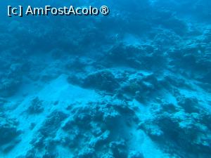[P49] Observând din submarinul Sindbad » foto by AZE
 - 
<span class="allrVoted glyphicon glyphicon-heart hidden" id="av1417213"></span>
<a class="m-l-10 hidden" id="sv1417213" onclick="voting_Foto_DelVot(,1417213,371)" role="button">șterge vot <span class="glyphicon glyphicon-remove"></span></a>
<a id="v91417213" class=" c-red"  onclick="voting_Foto_SetVot(1417213)" role="button"><span class="glyphicon glyphicon-heart-empty"></span> <b>LIKE</b> = Votează poza</a> <img class="hidden"  id="f1417213W9" src="/imagini/loader.gif" border="0" /><span class="AjErrMes hidden" id="e1417213ErM"></span>