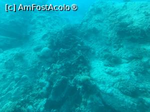 [P51] Observând din submarinul Sindbad » foto by AZE
 - 
<span class="allrVoted glyphicon glyphicon-heart hidden" id="av1417215"></span>
<a class="m-l-10 hidden" id="sv1417215" onclick="voting_Foto_DelVot(,1417215,371)" role="button">șterge vot <span class="glyphicon glyphicon-remove"></span></a>
<a id="v91417215" class=" c-red"  onclick="voting_Foto_SetVot(1417215)" role="button"><span class="glyphicon glyphicon-heart-empty"></span> <b>LIKE</b> = Votează poza</a> <img class="hidden"  id="f1417215W9" src="/imagini/loader.gif" border="0" /><span class="AjErrMes hidden" id="e1417215ErM"></span>