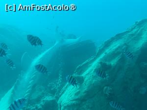 [P55] Observând din submarinul Sindbad » foto by AZE
 - 
<span class="allrVoted glyphicon glyphicon-heart hidden" id="av1417219"></span>
<a class="m-l-10 hidden" id="sv1417219" onclick="voting_Foto_DelVot(,1417219,371)" role="button">șterge vot <span class="glyphicon glyphicon-remove"></span></a>
<a id="v91417219" class=" c-red"  onclick="voting_Foto_SetVot(1417219)" role="button"><span class="glyphicon glyphicon-heart-empty"></span> <b>LIKE</b> = Votează poza</a> <img class="hidden"  id="f1417219W9" src="/imagini/loader.gif" border="0" /><span class="AjErrMes hidden" id="e1417219ErM"></span>