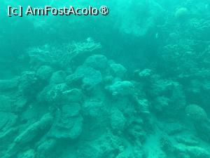 [P57] Observând din submarinul Sindbad » foto by AZE
 - 
<span class="allrVoted glyphicon glyphicon-heart hidden" id="av1417221"></span>
<a class="m-l-10 hidden" id="sv1417221" onclick="voting_Foto_DelVot(,1417221,371)" role="button">șterge vot <span class="glyphicon glyphicon-remove"></span></a>
<a id="v91417221" class=" c-red"  onclick="voting_Foto_SetVot(1417221)" role="button"><span class="glyphicon glyphicon-heart-empty"></span> <b>LIKE</b> = Votează poza</a> <img class="hidden"  id="f1417221W9" src="/imagini/loader.gif" border="0" /><span class="AjErrMes hidden" id="e1417221ErM"></span>