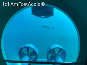 [P58] Observând din submarinul Sindbad » foto by AZE
 - 
<span class="allrVoted glyphicon glyphicon-heart hidden" id="av1417222"></span>
<a class="m-l-10 hidden" id="sv1417222" onclick="voting_Foto_DelVot(,1417222,371)" role="button">șterge vot <span class="glyphicon glyphicon-remove"></span></a>
<a id="v91417222" class=" c-red"  onclick="voting_Foto_SetVot(1417222)" role="button"><span class="glyphicon glyphicon-heart-empty"></span> <b>LIKE</b> = Votează poza</a> <img class="hidden"  id="f1417222W9" src="/imagini/loader.gif" border="0" /><span class="AjErrMes hidden" id="e1417222ErM"></span>