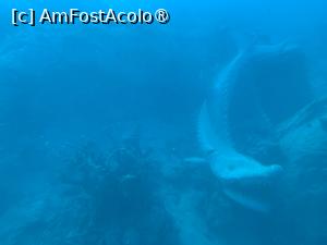[P60] Observând din submarinul Sindbad,o machetă de rechin » foto by AZE
 - 
<span class="allrVoted glyphicon glyphicon-heart hidden" id="av1417224"></span>
<a class="m-l-10 hidden" id="sv1417224" onclick="voting_Foto_DelVot(,1417224,371)" role="button">șterge vot <span class="glyphicon glyphicon-remove"></span></a>
<a id="v91417224" class=" c-red"  onclick="voting_Foto_SetVot(1417224)" role="button"><span class="glyphicon glyphicon-heart-empty"></span> <b>LIKE</b> = Votează poza</a> <img class="hidden"  id="f1417224W9" src="/imagini/loader.gif" border="0" /><span class="AjErrMes hidden" id="e1417224ErM"></span>