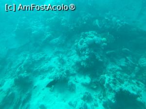 [P61] Observând din submarinul Sindbad » foto by AZE
 - 
<span class="allrVoted glyphicon glyphicon-heart hidden" id="av1417225"></span>
<a class="m-l-10 hidden" id="sv1417225" onclick="voting_Foto_DelVot(,1417225,371)" role="button">șterge vot <span class="glyphicon glyphicon-remove"></span></a>
<a id="v91417225" class=" c-red"  onclick="voting_Foto_SetVot(1417225)" role="button"><span class="glyphicon glyphicon-heart-empty"></span> <b>LIKE</b> = Votează poza</a> <img class="hidden"  id="f1417225W9" src="/imagini/loader.gif" border="0" /><span class="AjErrMes hidden" id="e1417225ErM"></span>