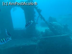 [P65] Observând din submarinul Sindbad,epavă » foto by AZE
 - 
<span class="allrVoted glyphicon glyphicon-heart hidden" id="av1417229"></span>
<a class="m-l-10 hidden" id="sv1417229" onclick="voting_Foto_DelVot(,1417229,371)" role="button">șterge vot <span class="glyphicon glyphicon-remove"></span></a>
<a id="v91417229" class=" c-red"  onclick="voting_Foto_SetVot(1417229)" role="button"><span class="glyphicon glyphicon-heart-empty"></span> <b>LIKE</b> = Votează poza</a> <img class="hidden"  id="f1417229W9" src="/imagini/loader.gif" border="0" /><span class="AjErrMes hidden" id="e1417229ErM"></span>