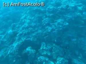 [P68] Observând din submarinul Sindbad » foto by AZE
 - 
<span class="allrVoted glyphicon glyphicon-heart hidden" id="av1417232"></span>
<a class="m-l-10 hidden" id="sv1417232" onclick="voting_Foto_DelVot(,1417232,371)" role="button">șterge vot <span class="glyphicon glyphicon-remove"></span></a>
<a id="v91417232" class=" c-red"  onclick="voting_Foto_SetVot(1417232)" role="button"><span class="glyphicon glyphicon-heart-empty"></span> <b>LIKE</b> = Votează poza</a> <img class="hidden"  id="f1417232W9" src="/imagini/loader.gif" border="0" /><span class="AjErrMes hidden" id="e1417232ErM"></span>