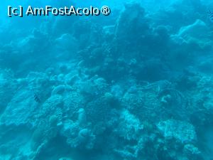 [P69] Observând din submarinul Sindbad » foto by AZE
 - 
<span class="allrVoted glyphicon glyphicon-heart hidden" id="av1417233"></span>
<a class="m-l-10 hidden" id="sv1417233" onclick="voting_Foto_DelVot(,1417233,371)" role="button">șterge vot <span class="glyphicon glyphicon-remove"></span></a>
<a id="v91417233" class=" c-red"  onclick="voting_Foto_SetVot(1417233)" role="button"><span class="glyphicon glyphicon-heart-empty"></span> <b>LIKE</b> = Votează poza</a> <img class="hidden"  id="f1417233W9" src="/imagini/loader.gif" border="0" /><span class="AjErrMes hidden" id="e1417233ErM"></span>