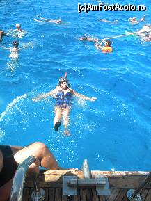 [P24] Echipati de snorkeling si ....jump!Petele negre care se vad prin apa sunt pesti minunati. » foto by marcy74
 - 
<span class="allrVoted glyphicon glyphicon-heart hidden" id="av137613"></span>
<a class="m-l-10 hidden" id="sv137613" onclick="voting_Foto_DelVot(,137613,371)" role="button">șterge vot <span class="glyphicon glyphicon-remove"></span></a>
<a id="v9137613" class=" c-red"  onclick="voting_Foto_SetVot(137613)" role="button"><span class="glyphicon glyphicon-heart-empty"></span> <b>LIKE</b> = Votează poza</a> <img class="hidden"  id="f137613W9" src="/imagini/loader.gif" border="0" /><span class="AjErrMes hidden" id="e137613ErM"></span>