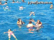 [P26] Invazie de snorkelisti. » foto by marcy74
 - 
<span class="allrVoted glyphicon glyphicon-heart hidden" id="av137621"></span>
<a class="m-l-10 hidden" id="sv137621" onclick="voting_Foto_DelVot(,137621,371)" role="button">șterge vot <span class="glyphicon glyphicon-remove"></span></a>
<a id="v9137621" class=" c-red"  onclick="voting_Foto_SetVot(137621)" role="button"><span class="glyphicon glyphicon-heart-empty"></span> <b>LIKE</b> = Votează poza</a> <img class="hidden"  id="f137621W9" src="/imagini/loader.gif" border="0" /><span class="AjErrMes hidden" id="e137621ErM"></span>