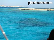 [P06] Prima oprire la o insula, inconjurata se recifuri, recifuri ce se inaltau pana la suprafata apei.La Marea Rosie  nu ai nevoie neaparat de Scuba-diving sau,ma rog, scufundari.Coralii si pestisorii, sunt foarte aproape de luciul apei si de tarmul marii. » foto by costin1968
 - 
<span class="allrVoted glyphicon glyphicon-heart hidden" id="av155155"></span>
<a class="m-l-10 hidden" id="sv155155" onclick="voting_Foto_DelVot(,155155,371)" role="button">șterge vot <span class="glyphicon glyphicon-remove"></span></a>
<a id="v9155155" class=" c-red"  onclick="voting_Foto_SetVot(155155)" role="button"><span class="glyphicon glyphicon-heart-empty"></span> <b>LIKE</b> = Votează poza</a> <img class="hidden"  id="f155155W9" src="/imagini/loader.gif" border="0" /><span class="AjErrMes hidden" id="e155155ErM"></span>