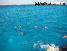 [P07] Hai la Snorkeling.Snorkel- numele inventatorului tubului de aer, ce permite unui submarin sa navigheze sub nivelul apei. » foto by costin1968
 - 
<span class="allrVoted glyphicon glyphicon-heart hidden" id="av155156"></span>
<a class="m-l-10 hidden" id="sv155156" onclick="voting_Foto_DelVot(,155156,371)" role="button">șterge vot <span class="glyphicon glyphicon-remove"></span></a>
<a id="v9155156" class=" c-red"  onclick="voting_Foto_SetVot(155156)" role="button"><span class="glyphicon glyphicon-heart-empty"></span> <b>LIKE</b> = Votează poza</a> <img class="hidden"  id="f155156W9" src="/imagini/loader.gif" border="0" /><span class="AjErrMes hidden" id="e155156ErM"></span>
