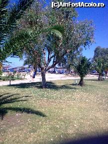[P59] Hotel meliton- spre plaja de la mare » foto by Aeerdna*
 - 
<span class="allrVoted glyphicon glyphicon-heart hidden" id="av247513"></span>
<a class="m-l-10 hidden" id="sv247513" onclick="voting_Foto_DelVot(,247513,374)" role="button">șterge vot <span class="glyphicon glyphicon-remove"></span></a>
<a id="v9247513" class=" c-red"  onclick="voting_Foto_SetVot(247513)" role="button"><span class="glyphicon glyphicon-heart-empty"></span> <b>LIKE</b> = Votează poza</a> <img class="hidden"  id="f247513W9" src="/imagini/loader.gif" border="0" /><span class="AjErrMes hidden" id="e247513ErM"></span>