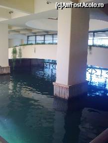 [P08] Aceeaşi piscină interioară... » foto by Aeerdna*
 - 
<span class="allrVoted glyphicon glyphicon-heart hidden" id="av247367"></span>
<a class="m-l-10 hidden" id="sv247367" onclick="voting_Foto_DelVot(,247367,374)" role="button">șterge vot <span class="glyphicon glyphicon-remove"></span></a>
<a id="v9247367" class=" c-red"  onclick="voting_Foto_SetVot(247367)" role="button"><span class="glyphicon glyphicon-heart-empty"></span> <b>LIKE</b> = Votează poza</a> <img class="hidden"  id="f247367W9" src="/imagini/loader.gif" border="0" /><span class="AjErrMes hidden" id="e247367ErM"></span>