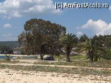 [P04] Este plaja din afara resortului ( zona Toroni). Se vad maci pe nisip printre palmieri. » foto by ana1
 - 
<span class="allrVoted glyphicon glyphicon-heart hidden" id="av106700"></span>
<a class="m-l-10 hidden" id="sv106700" onclick="voting_Foto_DelVot(,106700,374)" role="button">șterge vot <span class="glyphicon glyphicon-remove"></span></a>
<a id="v9106700" class=" c-red"  onclick="voting_Foto_SetVot(106700)" role="button"><span class="glyphicon glyphicon-heart-empty"></span> <b>LIKE</b> = Votează poza</a> <img class="hidden"  id="f106700W9" src="/imagini/loader.gif" border="0" /><span class="AjErrMes hidden" id="e106700ErM"></span>