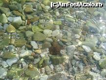 [P19]  -- <small>// FĂRĂ DESCRIERE</small> » foto by A.E.N
 - 
<span class="allrVoted glyphicon glyphicon-heart hidden" id="av335760"></span>
<a class="m-l-10 hidden" id="sv335760" onclick="voting_Foto_DelVot(,335760,375)" role="button">șterge vot <span class="glyphicon glyphicon-remove"></span></a>
<a id="v9335760" class=" c-red"  onclick="voting_Foto_SetVot(335760)" role="button"><span class="glyphicon glyphicon-heart-empty"></span> <b>LIKE</b> = Votează poza</a> <img class="hidden"  id="f335760W9" src="/imagini/loader.gif" border="0" /><span class="AjErrMes hidden" id="e335760ErM"></span>