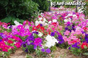 [P14] Tot langa Calul Troian din Canakkale - o frumusete pentru orice ochi » foto by cdiana
 - 
<span class="allrVoted glyphicon glyphicon-heart hidden" id="av434318"></span>
<a class="m-l-10 hidden" id="sv434318" onclick="voting_Foto_DelVot(,434318,377)" role="button">șterge vot <span class="glyphicon glyphicon-remove"></span></a>
<a id="v9434318" class=" c-red"  onclick="voting_Foto_SetVot(434318)" role="button"><span class="glyphicon glyphicon-heart-empty"></span> <b>LIKE</b> = Votează poza</a> <img class="hidden"  id="f434318W9" src="/imagini/loader.gif" border="0" /><span class="AjErrMes hidden" id="e434318ErM"></span>