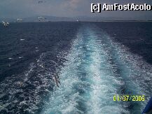 [P01] pe feribot cu pescarusii insotitori » foto by zozo
 - 
<span class="allrVoted glyphicon glyphicon-heart hidden" id="av201"></span>
<a class="m-l-10 hidden" id="sv201" onclick="voting_Foto_DelVot(,201,378)" role="button">șterge vot <span class="glyphicon glyphicon-remove"></span></a>
<a id="v9201" class=" c-red"  onclick="voting_Foto_SetVot(201)" role="button"><span class="glyphicon glyphicon-heart-empty"></span> <b>LIKE</b> = Votează poza</a> <img class="hidden"  id="f201W9" src="/imagini/loader.gif" border="0" /><span class="AjErrMes hidden" id="e201ErM"></span>